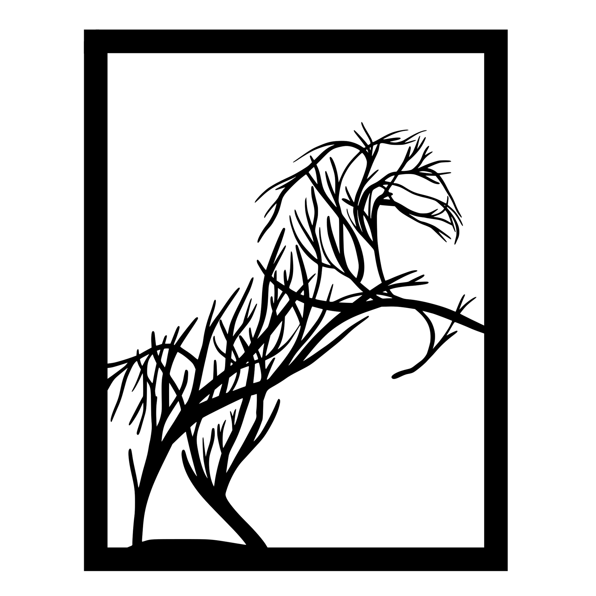 Pferd V1