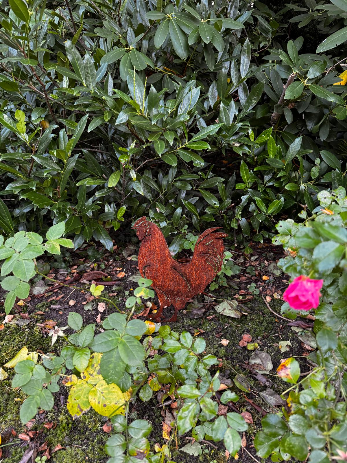 Hahn aus Cortenstahl